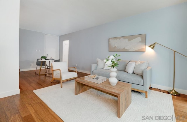 living room featuring hardwood / wood-style floors