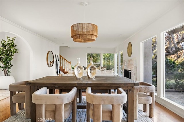 dining space featuring hardwood / wood-style floors and ornamental molding