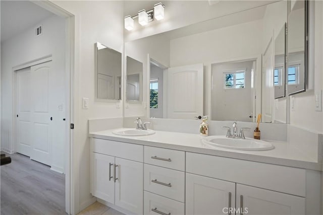 bathroom with vanity and hardwood / wood-style flooring