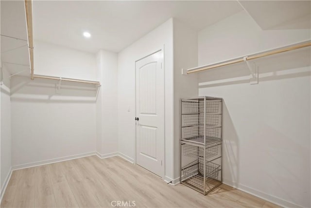 spacious closet with light wood-type flooring