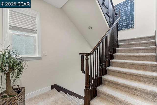 stairs with carpet floors