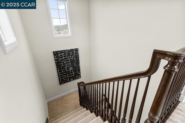 stairway featuring carpet flooring