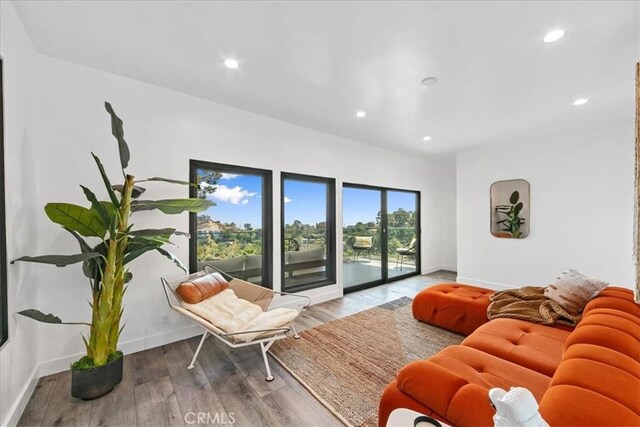 living room with wood-type flooring