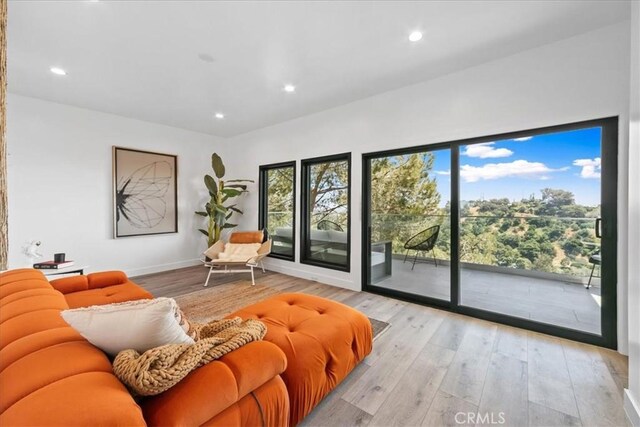 living room with light hardwood / wood-style flooring