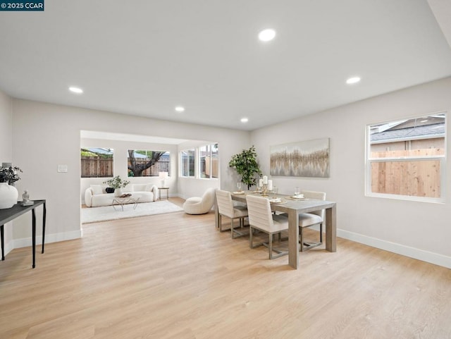 dining area with light hardwood / wood-style flooring