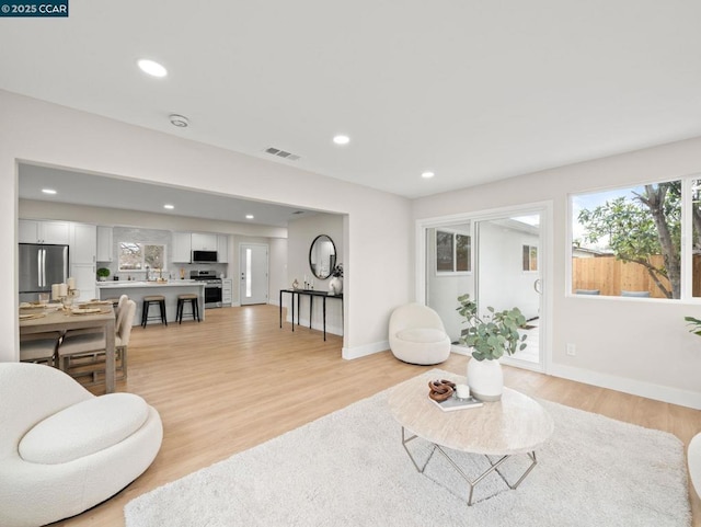 living room with light hardwood / wood-style flooring