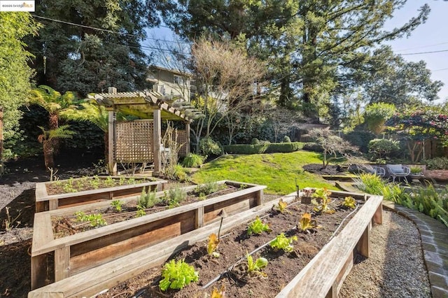 view of yard with a pergola