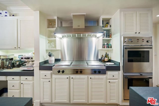 kitchen with white cabinetry, island range hood, and appliances with stainless steel finishes