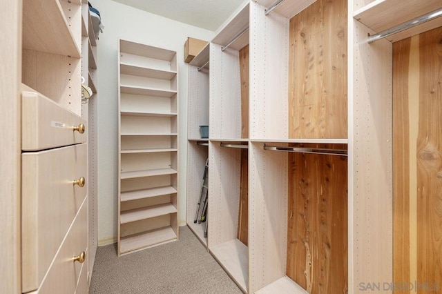 spacious closet with light carpet