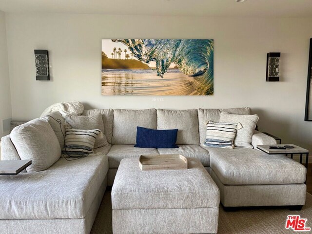 living room featuring carpet flooring