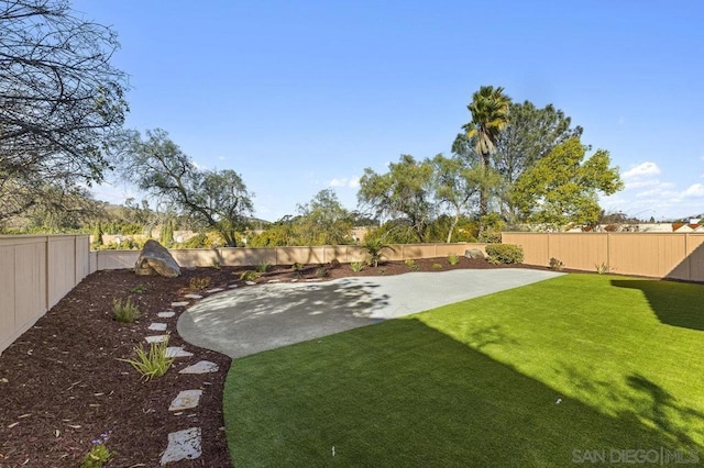 view of yard featuring a patio