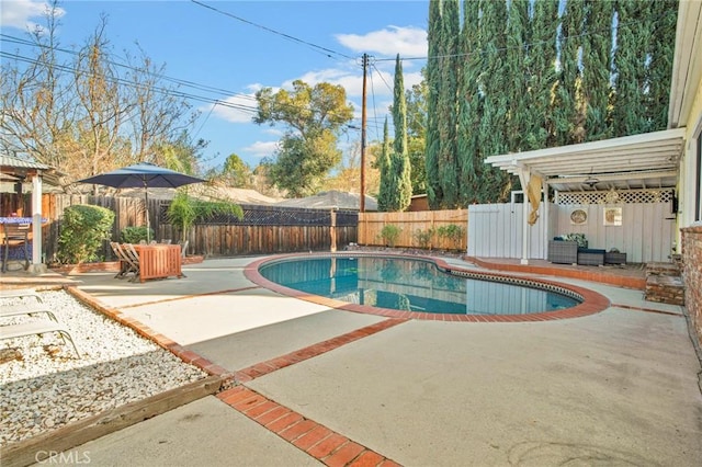 view of pool featuring a fenced in pool, a patio, and a fenced backyard