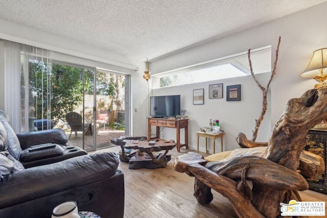 living room with a textured ceiling and light wood-type flooring