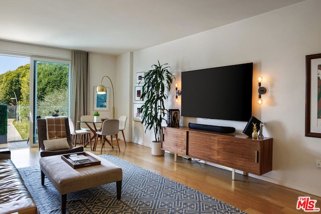 living room with wood-type flooring