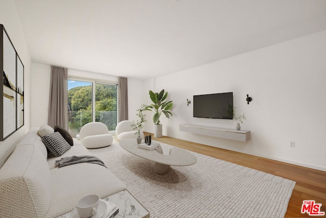 living room featuring hardwood / wood-style flooring