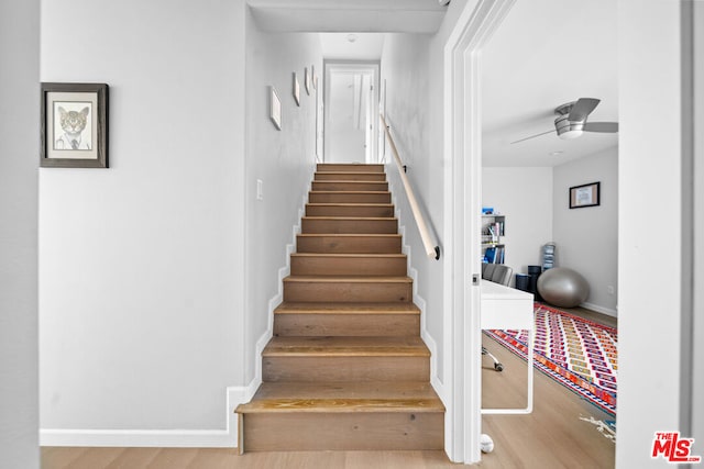 staircase with ceiling fan and wood-type flooring