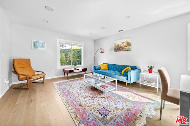 living room with hardwood / wood-style floors