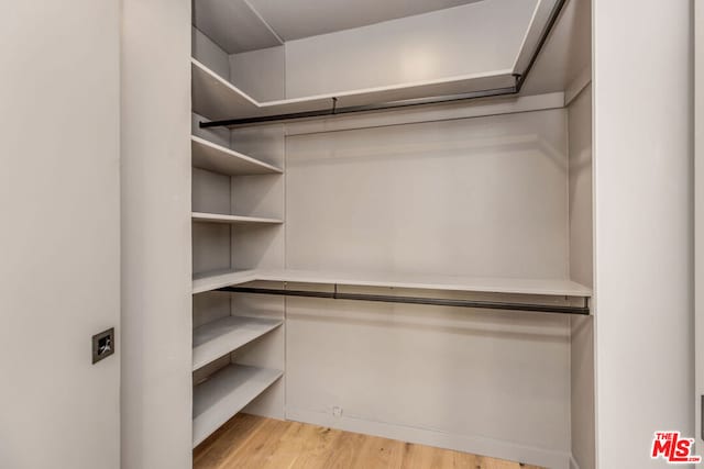 spacious closet featuring light wood-type flooring