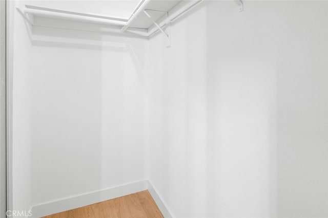 walk in closet featuring wood-type flooring