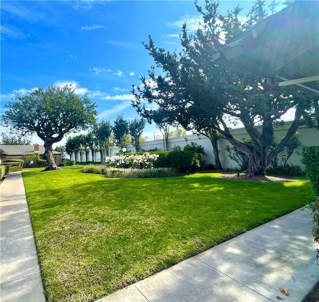 view of community featuring a yard