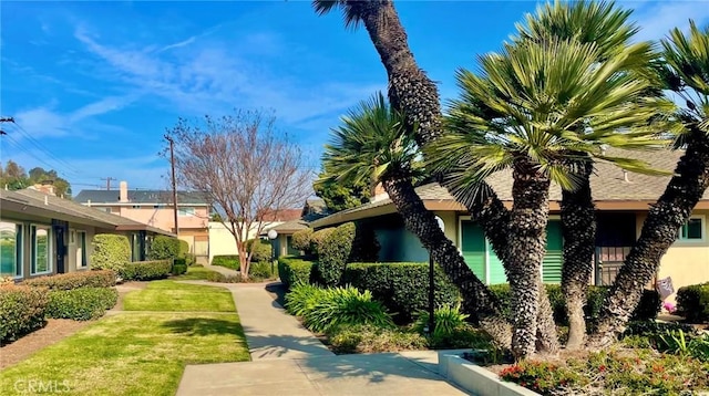 view of community featuring a yard