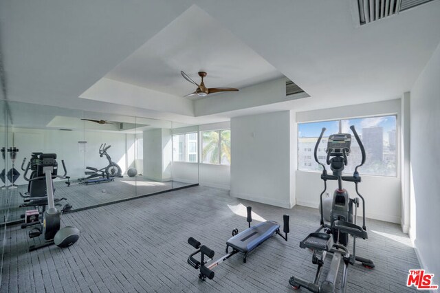 workout room with a raised ceiling, ceiling fan, and carpet