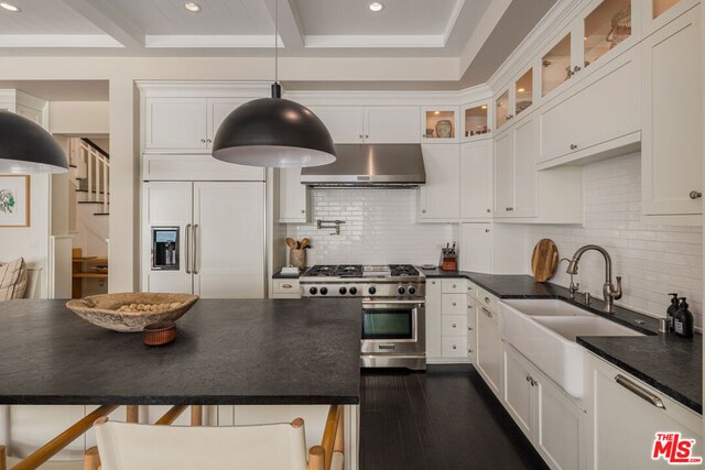 kitchen with white cabinetry, sink, exhaust hood, and premium appliances