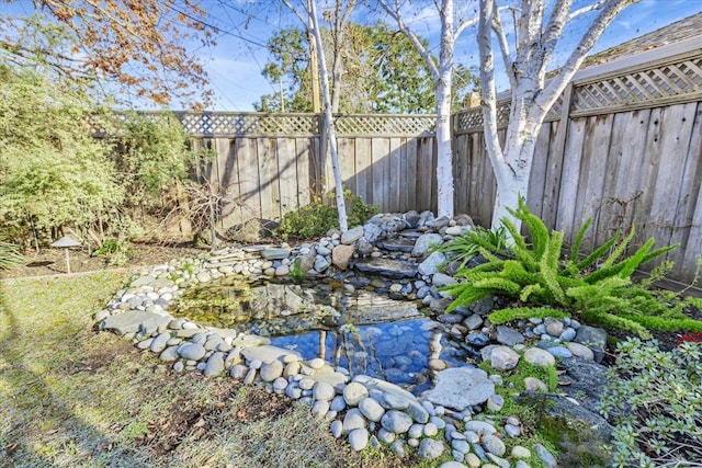 view of yard with a garden pond