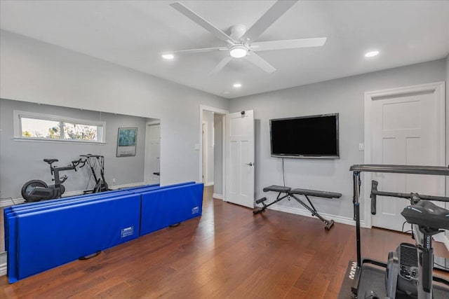 exercise room featuring dark hardwood / wood-style floors and ceiling fan