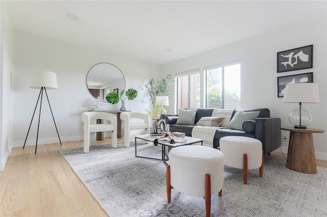 living room featuring baseboards and wood-type flooring