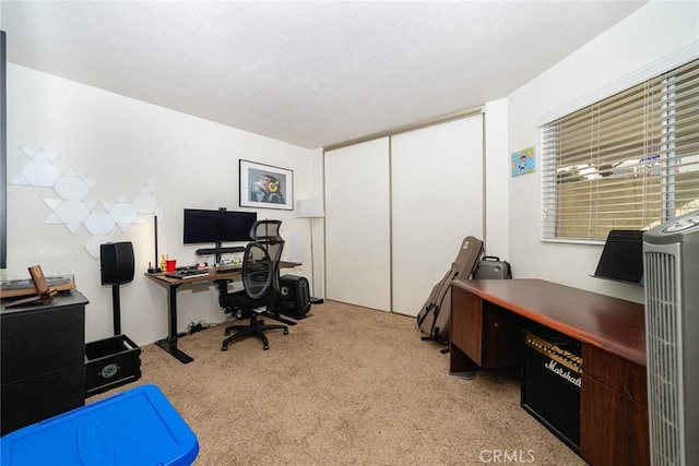 view of carpeted office space