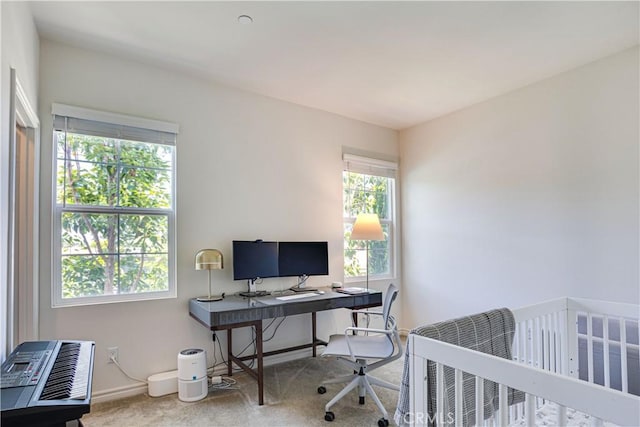 office space with carpet floors