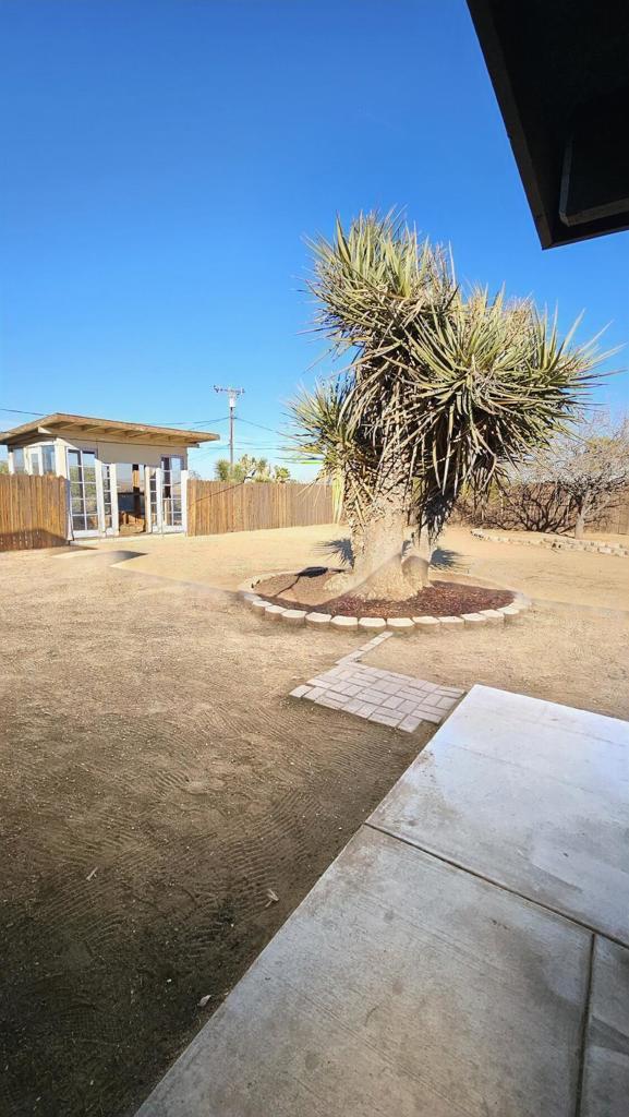 view of yard featuring a patio area