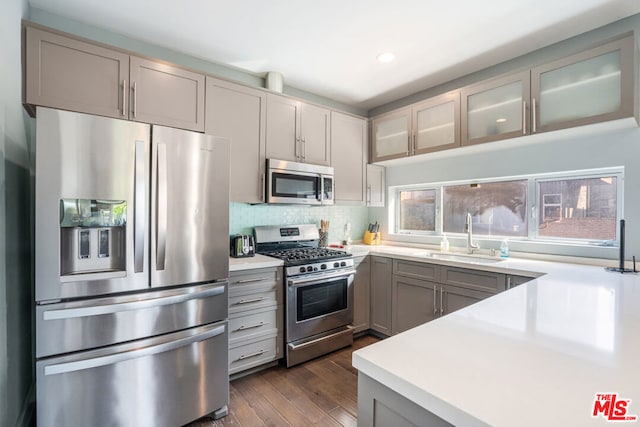 kitchen with appliances with stainless steel finishes, sink, gray cabinetry, and dark wood-type flooring