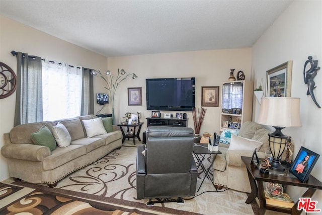 living room with a textured ceiling