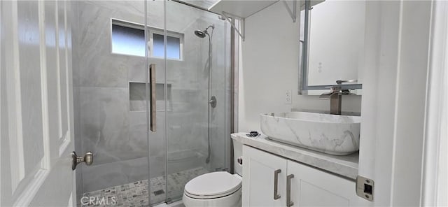 bathroom with vanity, toilet, and a shower with shower door