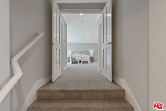 stairs featuring carpet floors