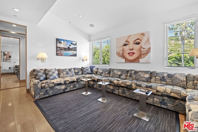 living room with vaulted ceiling and wood-type flooring