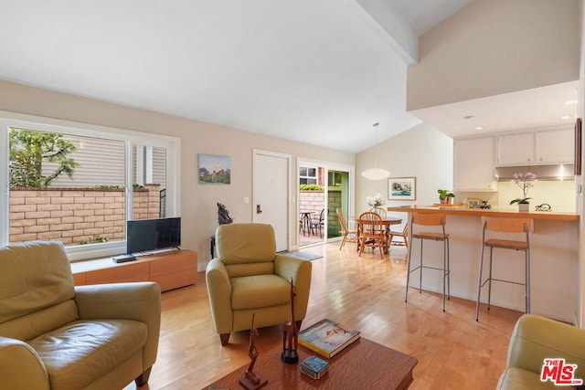 living room with high vaulted ceiling and light hardwood / wood-style flooring