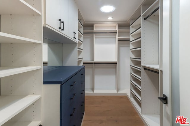 spacious closet featuring dark hardwood / wood-style floors