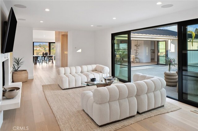 living room with light hardwood / wood-style floors