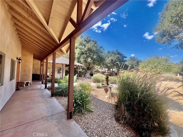 view of yard featuring a patio area