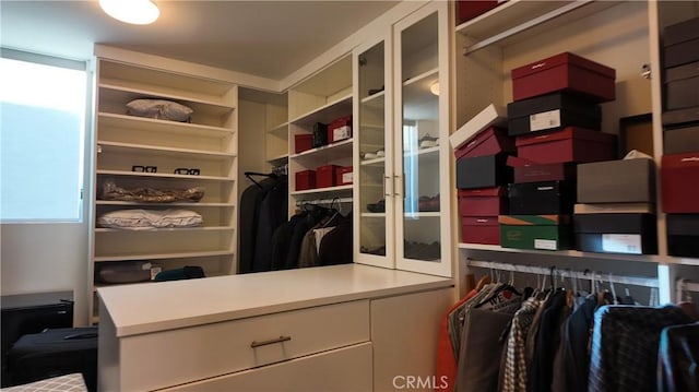 view of spacious closet