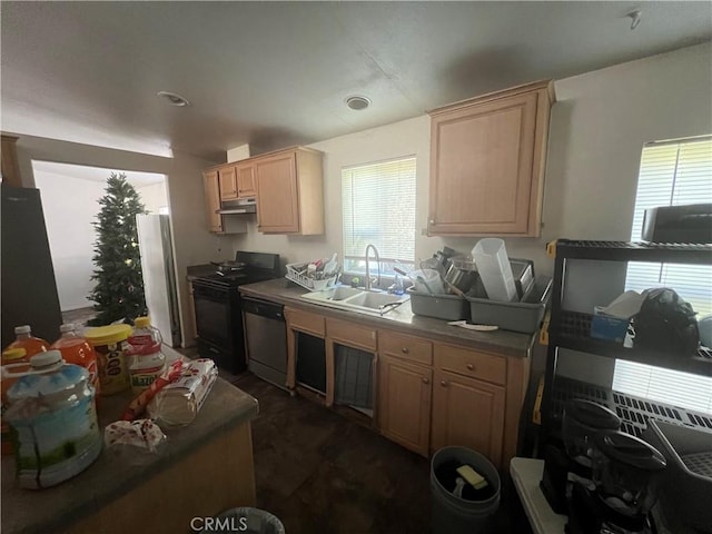 kitchen with stove, sink, stainless steel dishwasher, and a healthy amount of sunlight