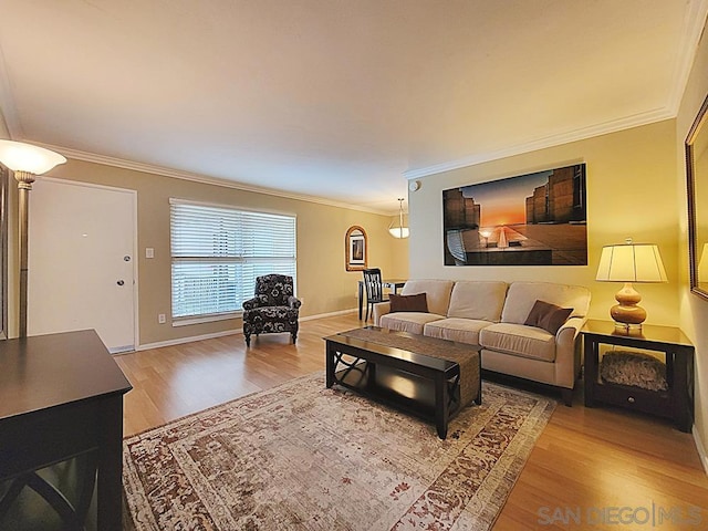 living room featuring crown molding and hardwood / wood-style flooring