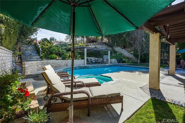 view of pool featuring a patio