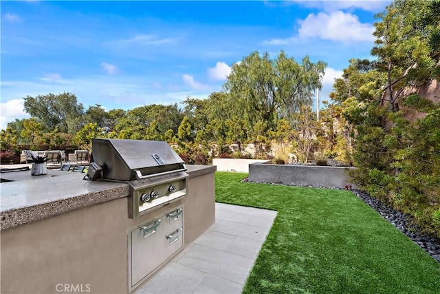 view of yard featuring a patio area and an outdoor kitchen