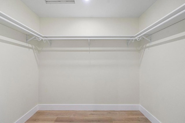 spacious closet featuring wood-type flooring