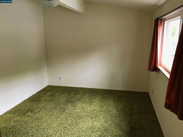 spare room featuring carpet flooring