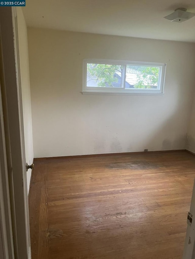 unfurnished room featuring dark wood-type flooring